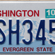 This plate image is from the internet tho